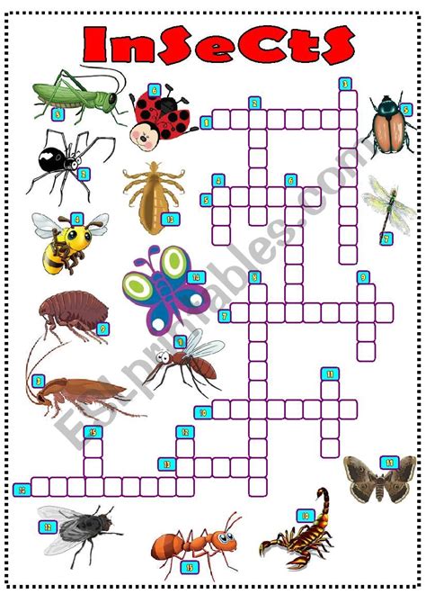 crossword clue insect|More.